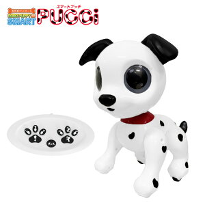 {ps[X}[gvb` TKSK vb` PUCCI _VA   zCg WR u vO vO~O {bg @\   _X j̎q ̎q w  q 