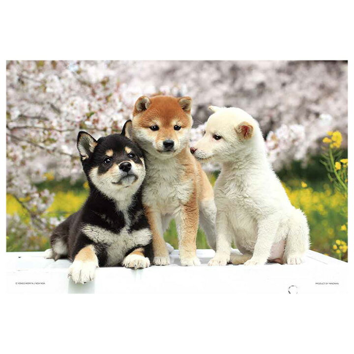 楽天市場 なかよしフレンズ 柴犬 ジグソーパズル 300ピース ジグソー パズル Puzzle 日本犬 写真 動物 かわいい しばいぬ しば 犬 わんこ 豆柴 3色柴 桜 さくら 花 ギフト プレゼント 誕生日プレゼント クリスマス ステイホーム おうち時間 インテリア 知育 S Ym 6k008