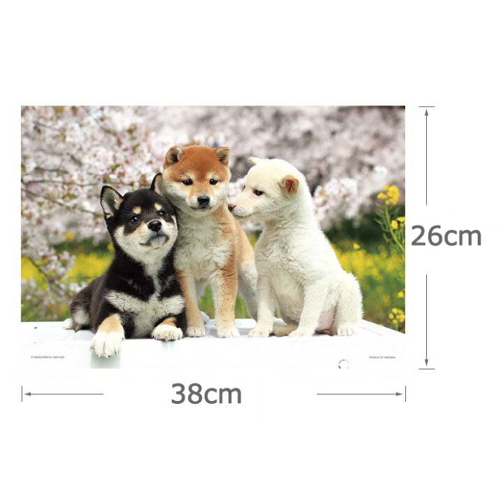 楽天市場 なかよしフレンズ 柴犬 ジグソーパズル 300ピース ジグソー パズル Puzzle 日本犬 写真 動物 かわいい しばいぬ しば 犬 わんこ 豆柴 3色柴 桜 さくら 花 ギフト プレゼント 誕生日プレゼント クリスマス ステイホーム おうち時間 インテリア 知育 S Ym 6k008