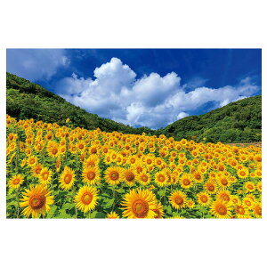 ひまわり ギフト おもちゃの人気商品 通販 価格比較 価格 Com ひまわり ギフト おもちゃの人気商品 通販 価格比較 価格 Com