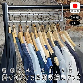 ハンガー 衣類収納アップハンガー 2本組 グレー 日本製 衣類 収納 衣類収納 クローゼット 整理 省スペース 段違い パイプハンガー ハンガーラック