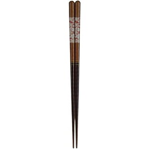 y12_܂Ń[։\zCV_ o H H@Ή aR 23C