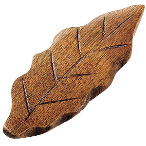 CV_ o [tu Ђ炬  u ͂