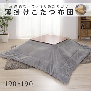 zc | R^czc ` KK-163GY O[  R^cӂƂ ӂƂ R^c zc  ۉ` TCY 190×190 Azumaya J yzy[J[izyEk