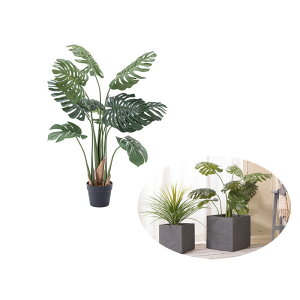 tFCNO[ Xe GRN-11iO[j tFCNO[ ϗtA lHϗtA Xe t  CeA  O[ Azumaya J yzy[J[izy