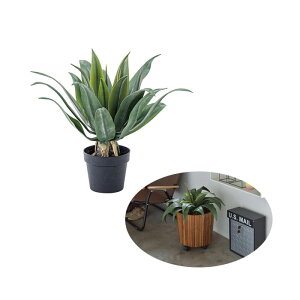 tFCNO[ AKx GRN-14iO[j tFCNO[ ϗtA lHϗtA AKx t  CeA  O[ [t Azumaya J yzy[J[izys