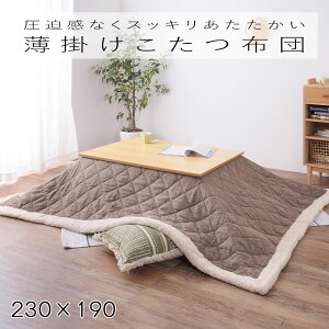 | R^czc ` uE 230×190 KK-102BR cC[hLg×{A R^cJo[ Vv k   J Azumaya