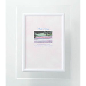 y^bƓ\ttHgt[DX 00770 Ε  Mtg 蕨  y[J[izykC͂sz