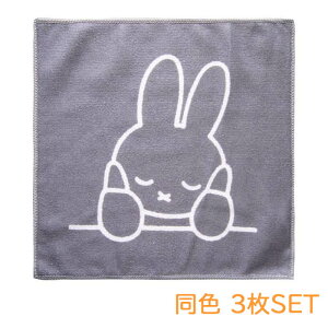Dick Bruna ӂ 30x30icmj 3p قÂ~btB[ Lb`NX z }CNt@Co[ JE^[NX
