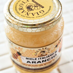 IW̖I yn`~c V`AYzy500gzyLZEԕiEsz