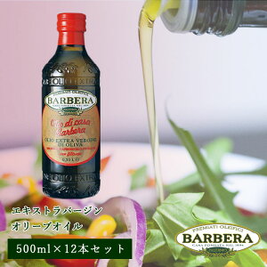 12�{�Z�b�g �o���x�[�� �G�L�X�g���o�[�W�� �I���[�u�I�C�� �m���t�B���^�[ 500ml olive oil �������� BARBERA �C�^���A �V�`���A�B