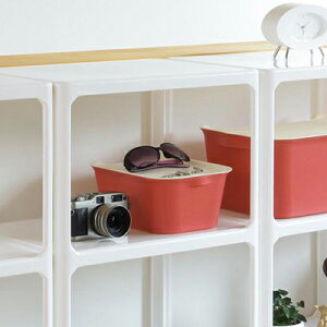 [{bNX KataSu ( J^X ) TCfA Squ+  [ P[X [P[X {bNX CeAnR S zCg J[{bNX