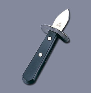 ���H�X�g�t �I�C�X�^�[�i�C�t 4281�y �A�h�L�b�`�� �z