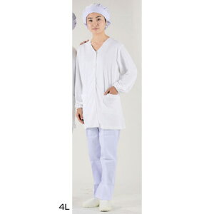 テクノファインコート 女子襟無し長袖白衣 NR-448 4L【 アドキッチン 】