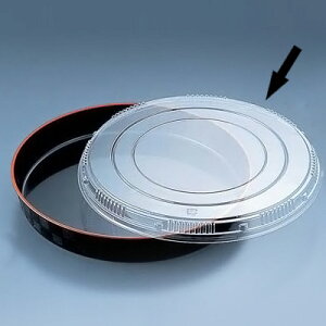 ve spW 30p i10j 300×10mm yz