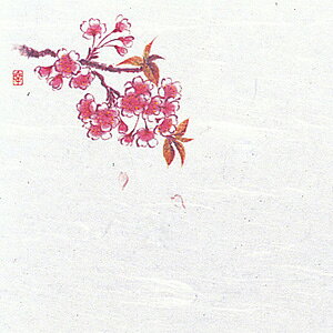 ԍRۘa Ԃ݉~ i200j i2`4j W5-3y AhLb` z