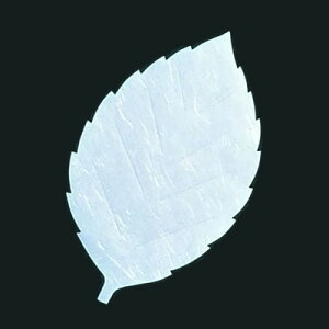 ԍRۘa t^lG i200j  LF-S 170×270mmy AhLb` z