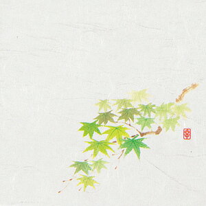 j[lG 4 i100j NS-19 ΂݂i5`8j 120×120mmy AhLb` z