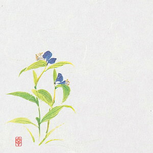 j[lG 4 i100j NS-21 䑐i7`8j 120×120mmy AhLb` z