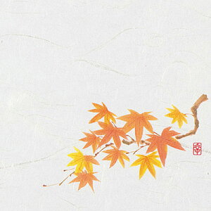 j[lG 4 i100j NS-24 Ԃ݂i9`11j 120×120mmy AhLb` z