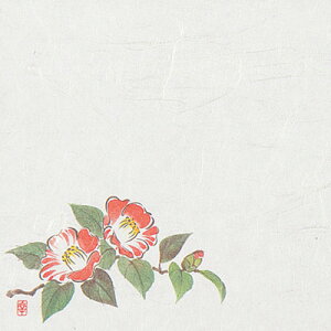 j[lG 4 i100j NS-67 ցi12`2j 120×120mmy AhLb` z