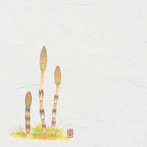 j[lG 5 i100j NS-5 i2`4j 150×150mmy AhLb` z