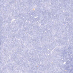 OP _~ i100j F OPG-45 15cmpy AhLb` z