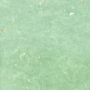 OP _~ i100j |F OPG-65 15cmpy AhLb` z