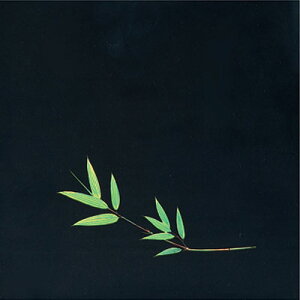 OP NAlG i200j  OS-15-3 150×150mmy AhLb` z