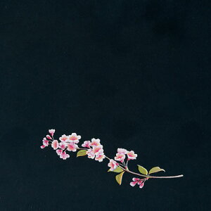 OP NAlG i200j  OS-12-6 120×120mmy AhLb` z