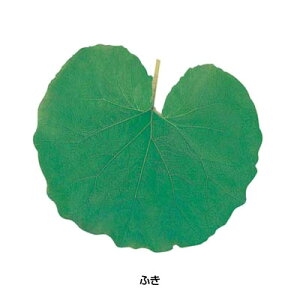 ^NAV[gi200j65365 ӂ 125×110mmy AhLb` z