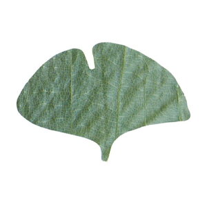 v`pt~i΁j50 23922 ǌ^ 45×70mmy AhLb` z