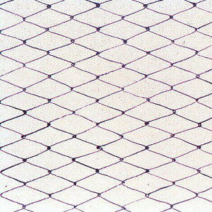 ԕۑN  i100jԁy AhLb` z