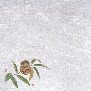 VEG򏑎i100j I i8`10j 200×200mm( Lb`u` )