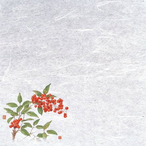 VEG򏑎i100j V i11`1j 200×200mm( Lb`u` )