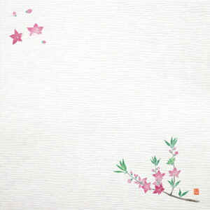 ϖڂ~ 4i100j  TA-E05 120×120mmy AhLb` z