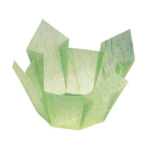  OP  ( 100 ) 66403 a130 ( a75 ) ×H90mm ᑐ_ y AhLb` z