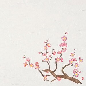 3lG΂܂Ɓi50j ~i1`3j 390×264mm( Lb`u` )