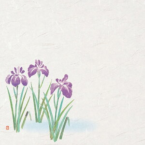 3lG΂܂Ɓi50j Ҋi4`6j 390×264mm( Lb`u` )