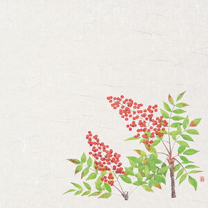 3lG΂܂Ɓi50j Vi12`2j 390×264mm( Lb`u` )