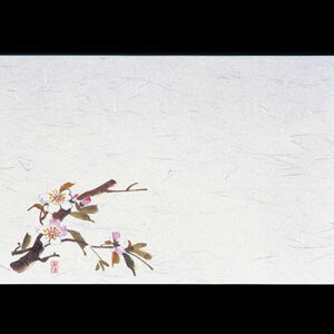lGEi100j M30-205 390×265mm( Lb`u` )