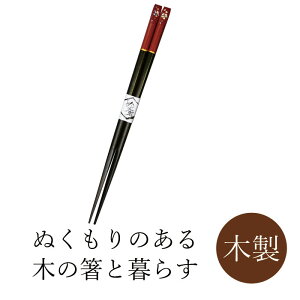 ۏ\ Vؔ Ԃ  22.5cm  ͂ y5{܂Ń[֑ΉΉz