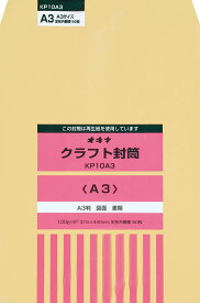 オキナ KP 100 A3 P 50枚入り KP10A3