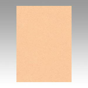 �����e�b�N �j���[�J���[4��100�� ������������ GO4NCR-103