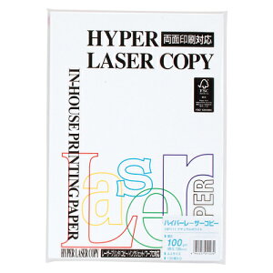 ɓ nCp[N 100g A4(100) HP111 i`zCg