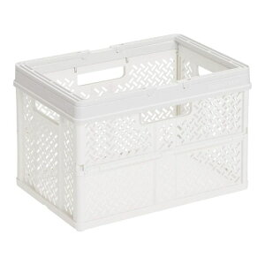 Vn TENMA e} PRX ܂肽݃oXPbg nht M X[L[zCg