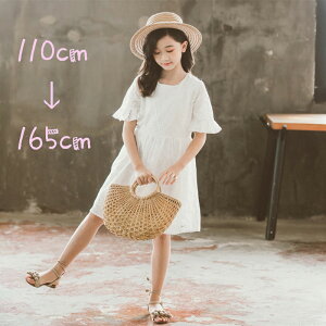 s[X LbY  ̎q ĕ AC sAm \ G q JWA tH[} i`  qǂ 킢  WjA K[Y  s T}[ eq 