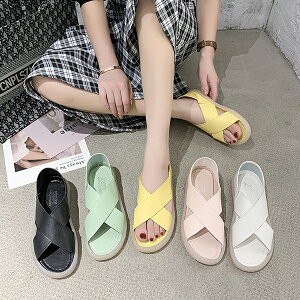 T_ pvX T}[u[c fB[X u[cT_ RtH[gT_@pvX C V[Y _炩@₷ y   ėp V 