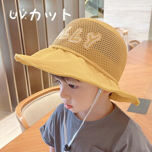 Xq q LbY 悯 ̎q j̎q UVJbg tX ToCU[ ΍L UVJbgXq ܂肽 Rt C[  UV΍ t  ʊw s W[ q̓ a v[