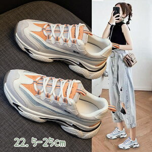 Xj[J[ fB[X RtH[gV[Y {v V[Y  ^C X|[c EH[LO ₷ _炩 y JWA t H  ʋC v[g